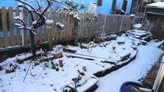 DSC01693.jpg
