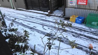 DSC01707.jpg