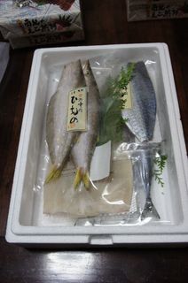 DSC01772.jpg