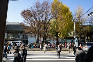 DSC01830.jpg