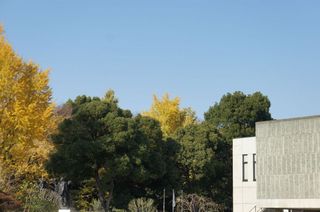 DSC01845.jpg