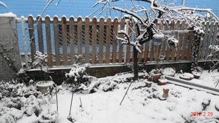 DSC01975.jpg