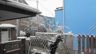 DSC01977.jpg
