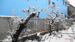 DSC01982.jpg
