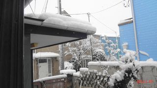 DSC01992.jpg