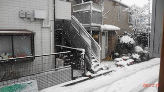 DSC01994.jpg