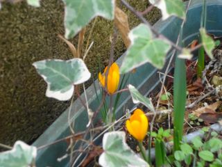 DSC02197.jpg