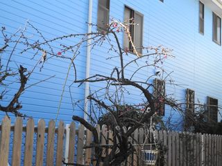 DSC02216.jpg