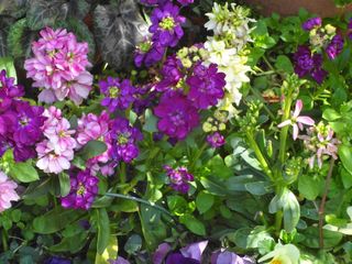 DSC02220.jpg