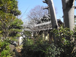 DSC02240.jpg