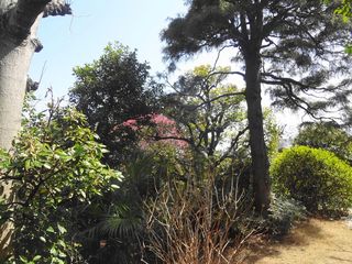 DSC02241.jpg