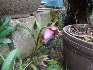 DSC02289.jpg