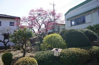 DSC02971.jpg