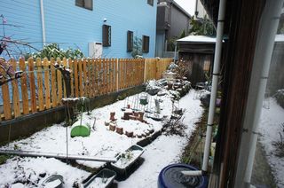 DSC02992.jpg