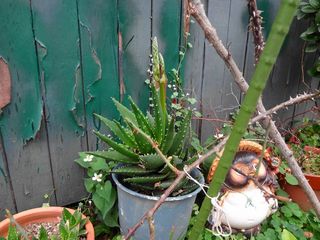 DSC03072.jpg