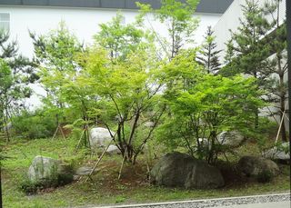 DSC03083.jpg
