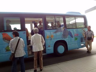 DSC03084.jpg