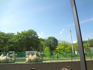 DSC03106.jpg