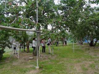 DSC03131.jpg