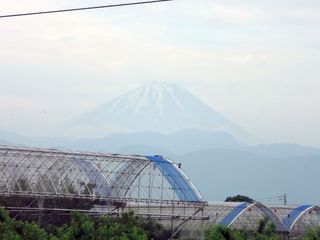 DSC03132.jpg