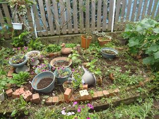 DSC03153.jpg