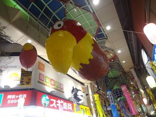 DSC03339.jpg