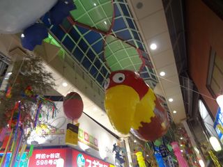 DSC03340.jpg