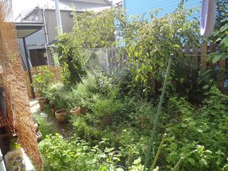 DSC03472.jpg