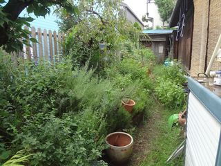 DSC03475.jpg