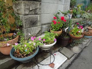DSC03477.jpg