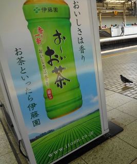 DSC03494.jpg