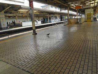 DSC03495.jpg