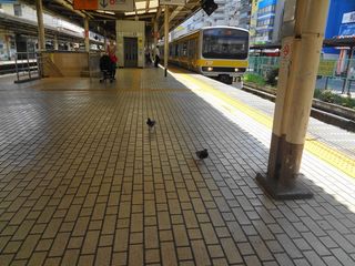 DSC03497.jpg