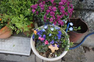 DSC03579.jpg