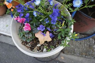 DSC03607.jpg