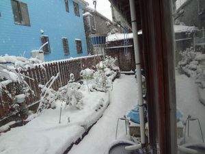 DSC03690.jpg