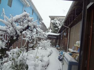 DSC03695.jpg