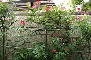 DSC03912.jpg