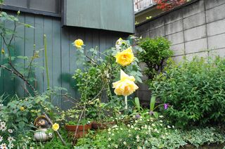 DSC03944.jpg