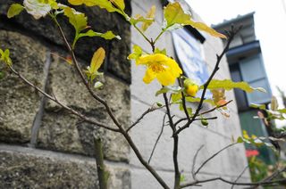 DSC03949.jpg