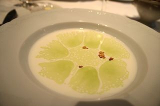 DSC04166.jpg