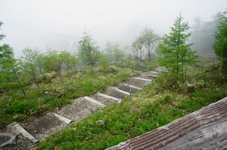 DSC04217.jpg
