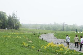 DSC04236.jpg