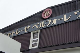 DSC04254.jpg