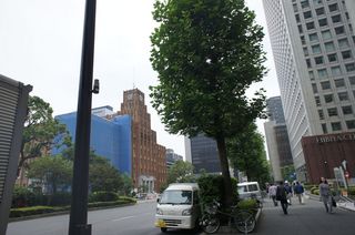 DSC04283.jpg