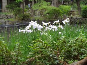 DSC04286.jpg