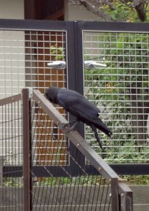 DSC04288.jpg