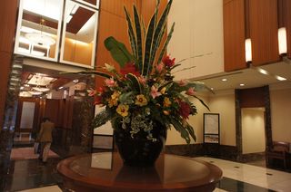 DSC04324.jpg