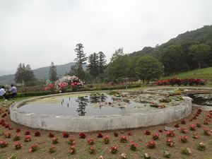 DSC04354.jpg