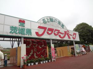 DSC04361.jpg